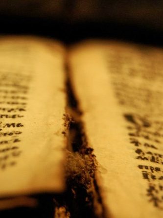 Trabalho sobre o salmo 133 na maçonaria e no grau de Aprendiz